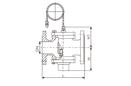 自力式壓(yā)差控制閥(圖1)