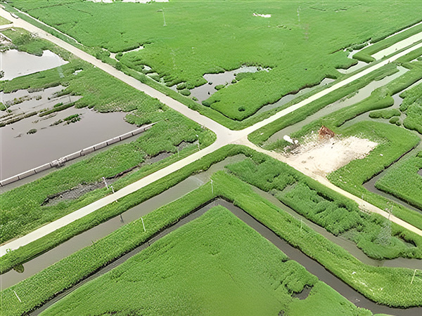 打(da)造綠色(sè)低碳油(yóu)田 做綠(lǜ)色發展(zhǎn)的“頂梁(liáng)柱”